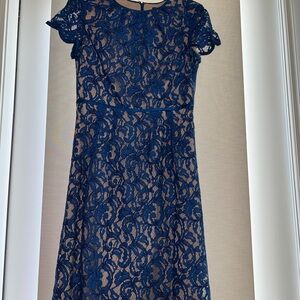 Adrianna Papell Royal Blue Lace Dress